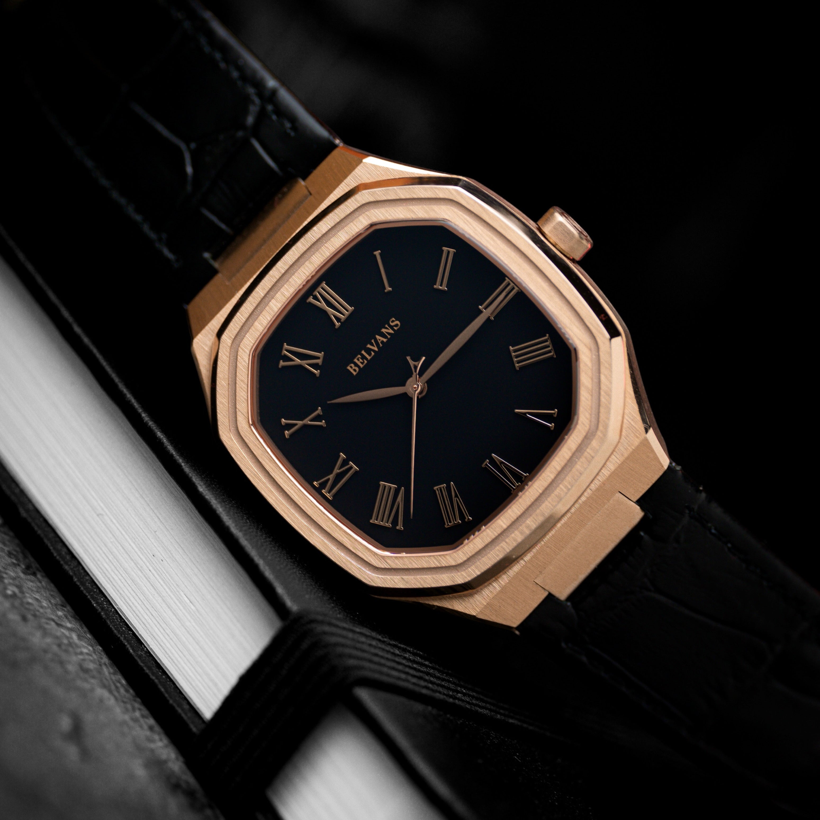 belvans heritage watch close shot